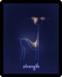 Strength